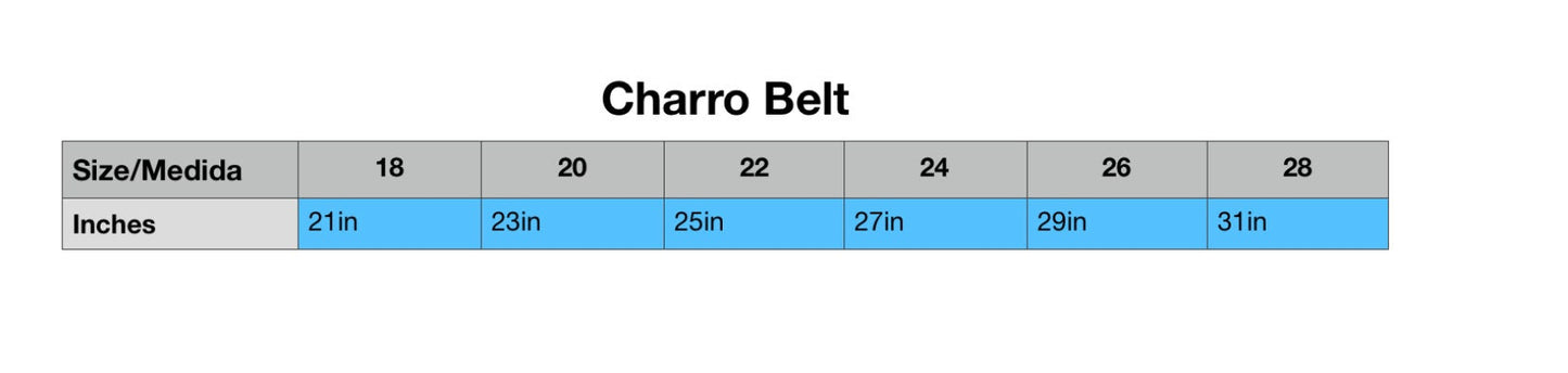 Kids Charro belt: Baptism Charro outfit Belt white and silver charro belt /gold charro belt / black charro belt / white and gold belt 69