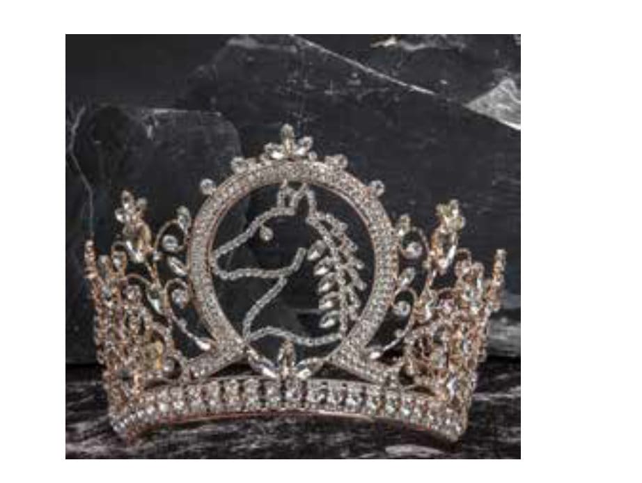 Quinceanera Tiara, Crystal Tiara, Crown, Headpiece, Bridal Tiara, Quinceañera, Sweet 16 Tiara, Sparkling Tiara384